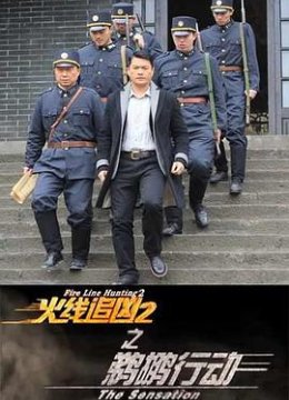 火线追凶2之鹈鹕行动