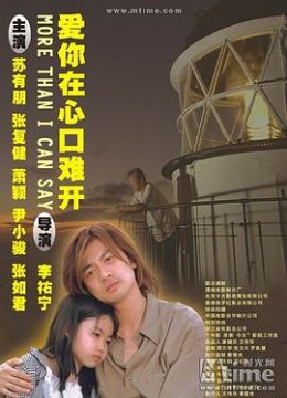 乌龙小子流浪记