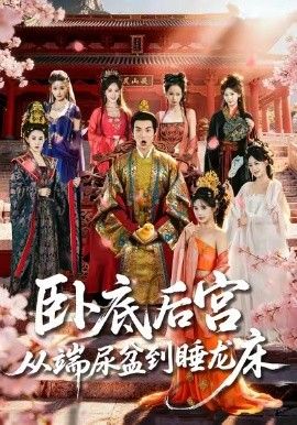 卧底后宫从端尿盆到睡龙