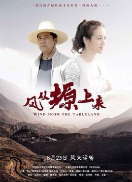风从塬上来