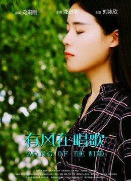 有风在唱歌
