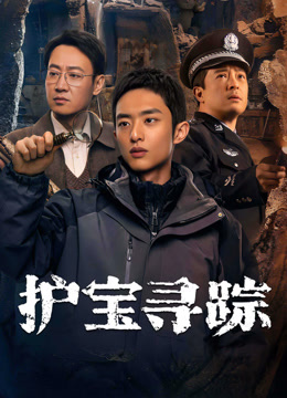 护宝寻踪解说版