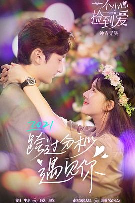 一不小心捡到爱解说版