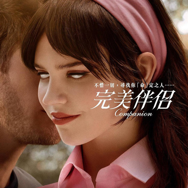 完美伴侣解说版