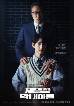 财阀家的小儿子解说版