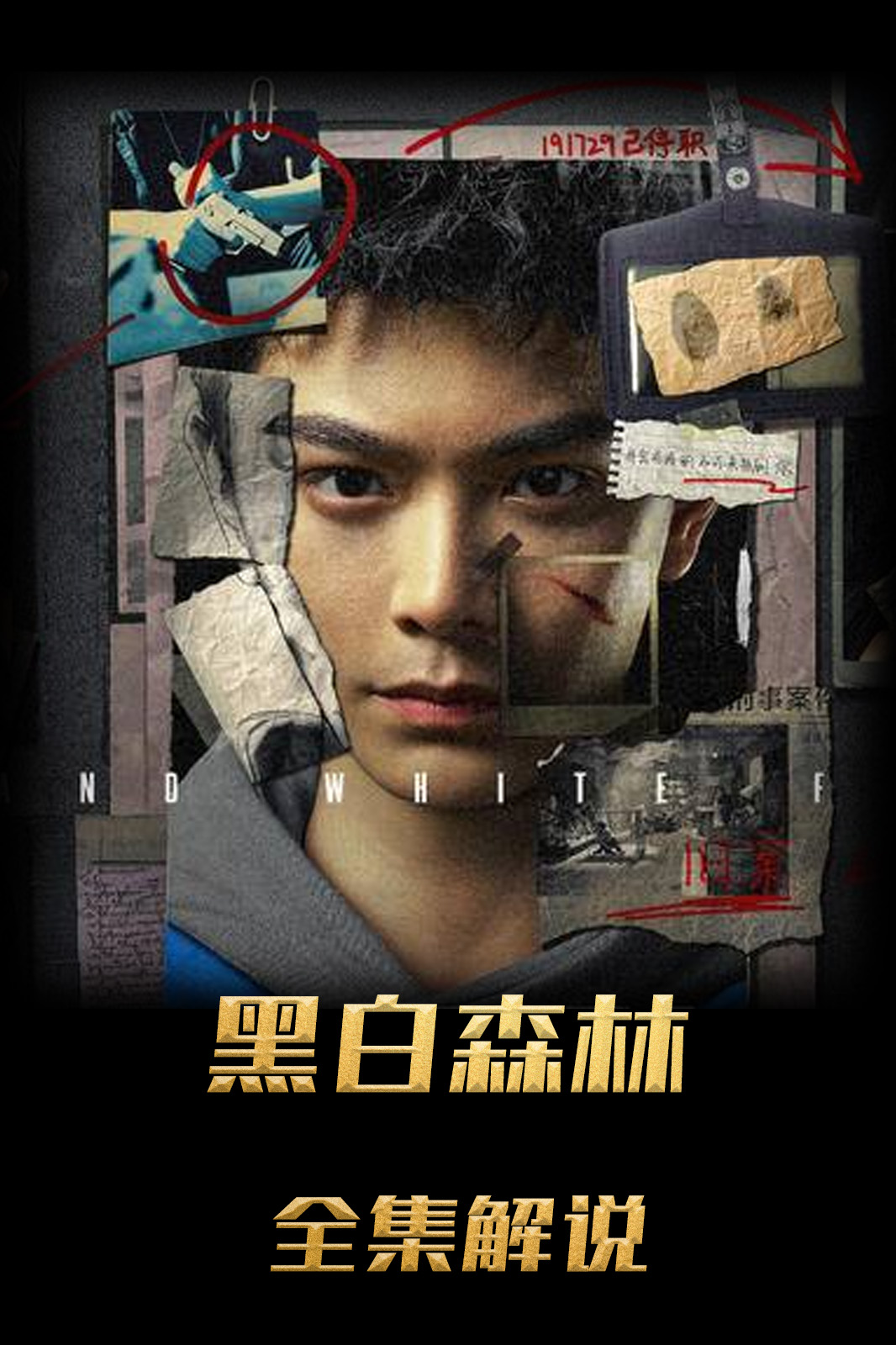 黑白森林解说版