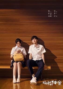 暗格里的秘密解说版