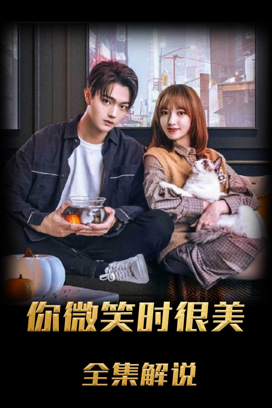 你微笑时很美解说版