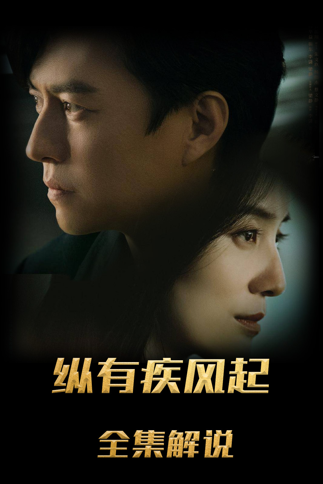 纵有疾风起解说版