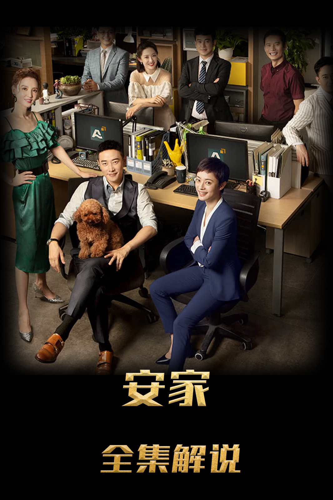 安家解说版