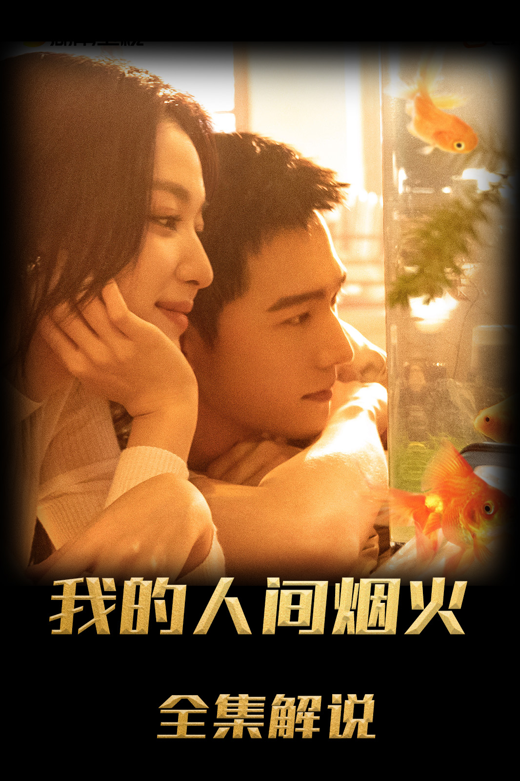 我的人间烟火解说版