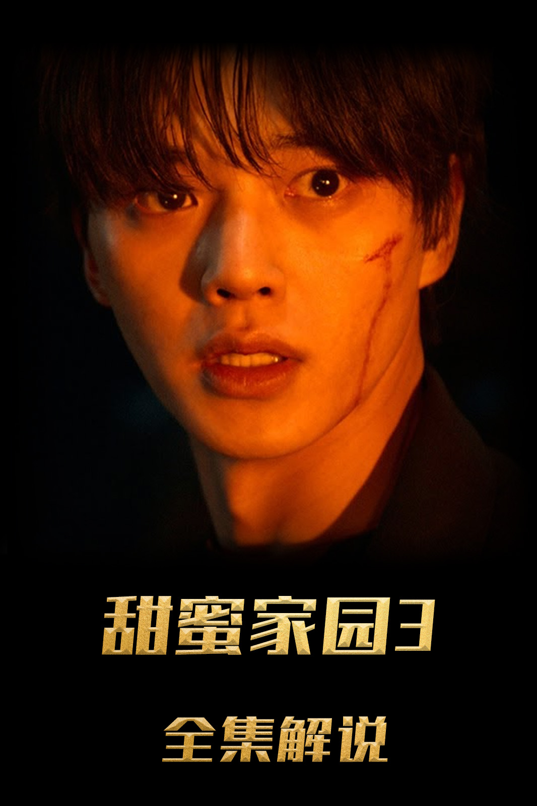 甜蜜家园3解说版