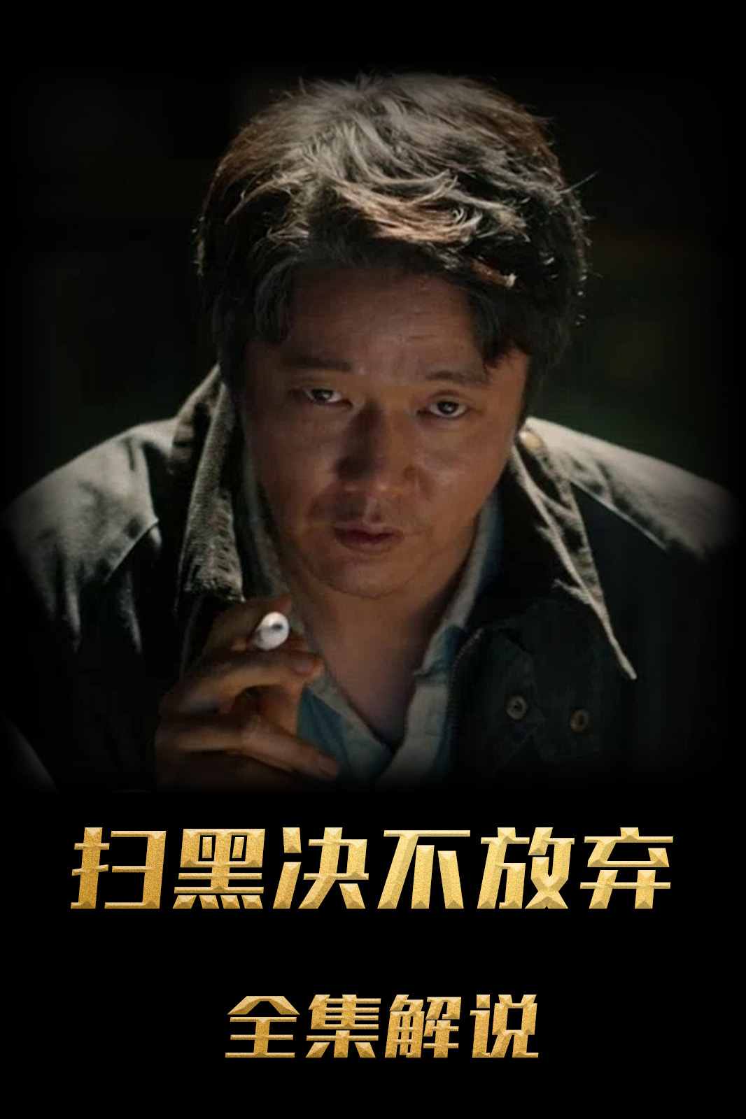 扫黑·决不放弃解说版