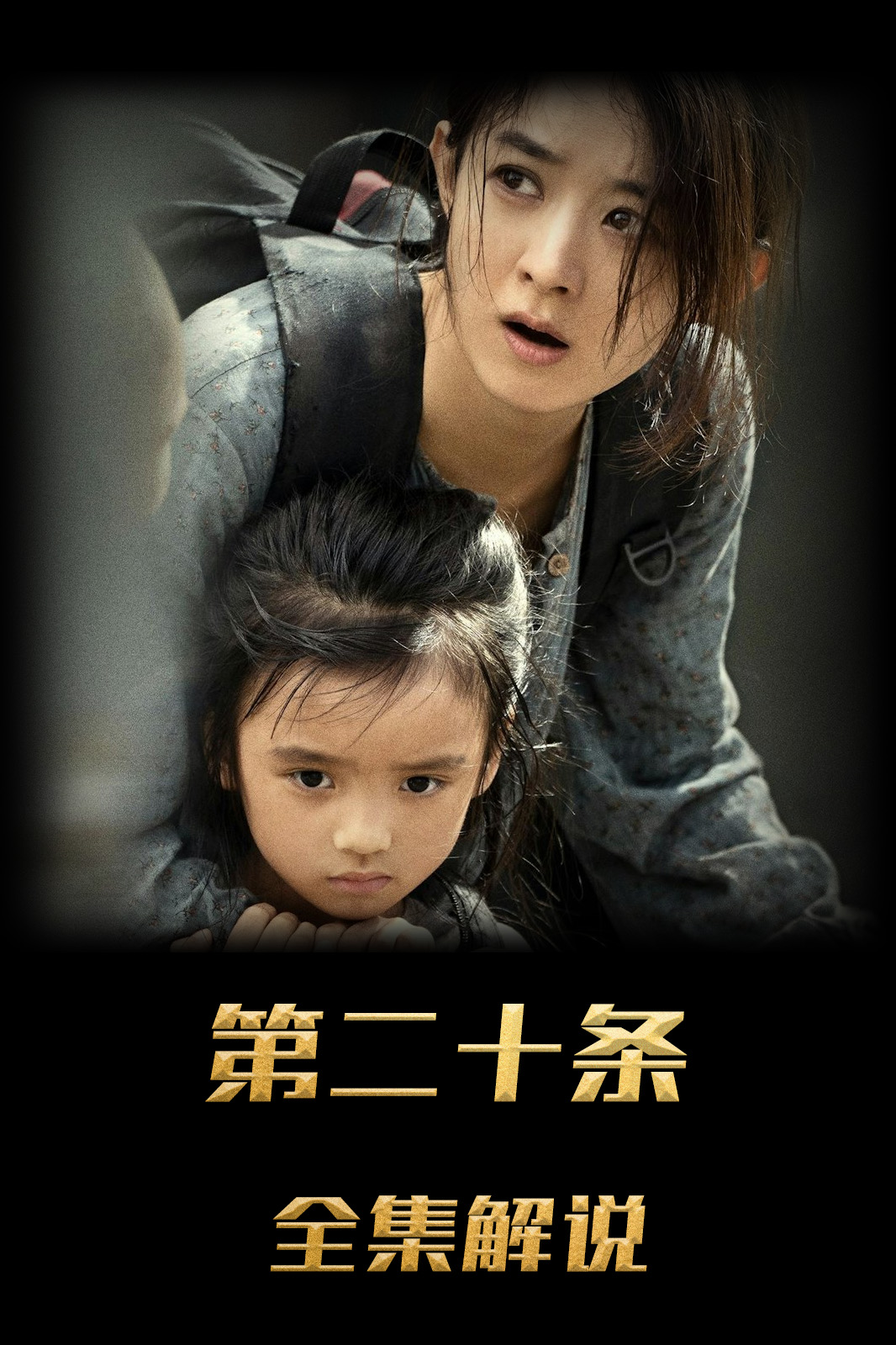 第二十条解说版