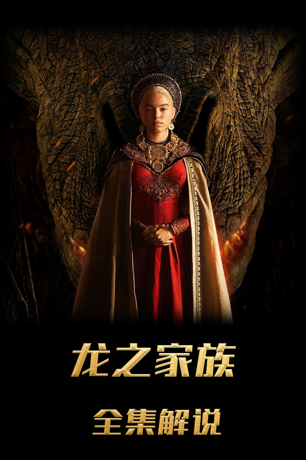 龙之家族解说版