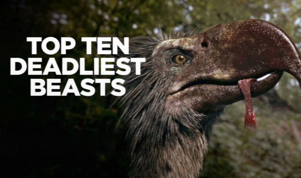 十大致命的捕食者