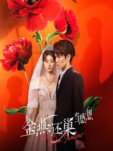 金燕还巢当感恩