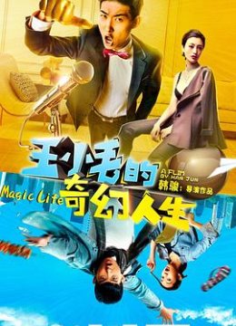 王小毛的奇幻人生