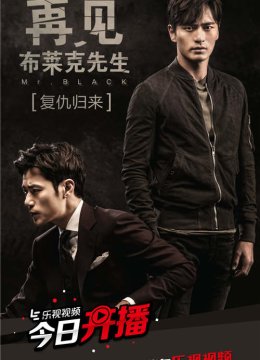 再见布莱克先生