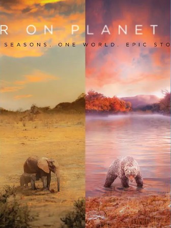 地球上的一年 第一季