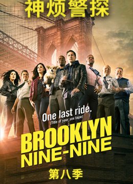 神烦警探 第八季
