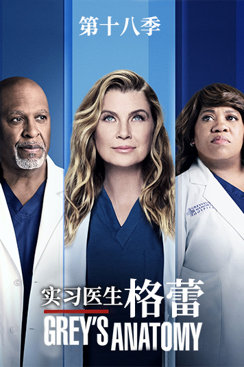实习医生格蕾 第十八季