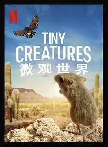 微观世界 第一季