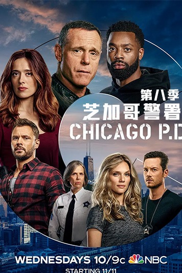 芝加哥警署 第八季