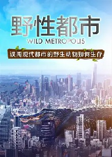 野性都市 第一季