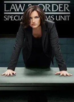 法律与秩序特殊受害者 第十六季