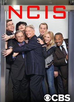 海军罪案调查处 第十四季