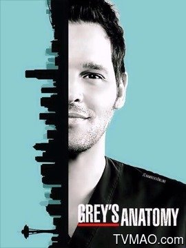 实习医生格蕾 第十三季