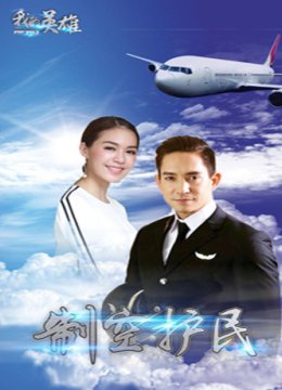 我的英雄之制空护民