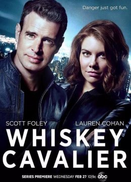 威士忌骑士/互怼特工