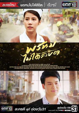 他她和另一个人