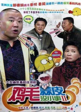 鸡毛蒜皮没小事2