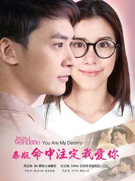 命中注定我爱你普通话版