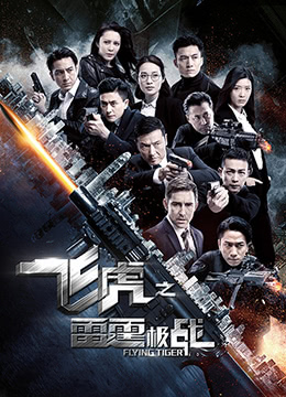 飞虎之雷霆极战[粤语版]