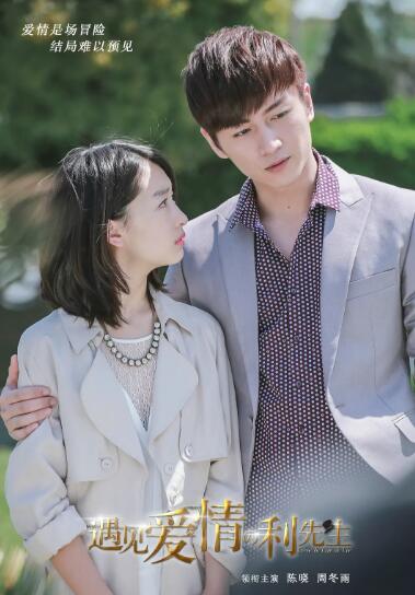 遇见爱情的利先生 D