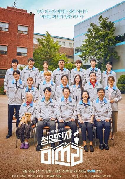 清日电子李小姐