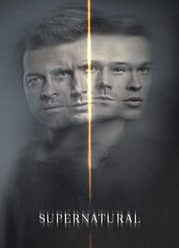 邪恶力量第十五季