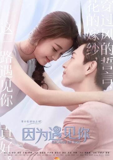 因为遇见你 DVD版