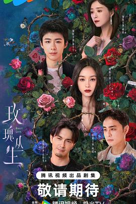 玫瑰丛生预告