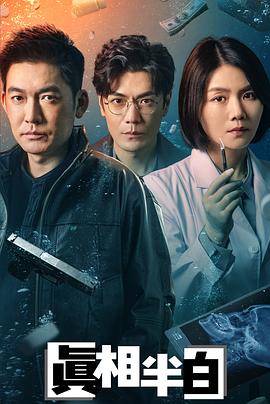 真相半白解说版