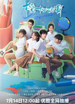 樱桃琥珀解说版