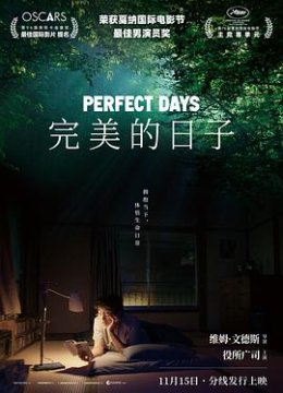 完美的日子解说版