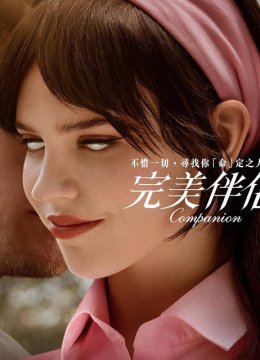 完美伴侣解说版