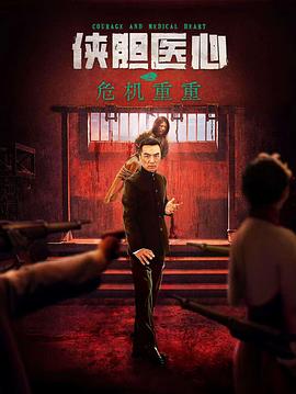 侠胆医心之暗夜魅影
