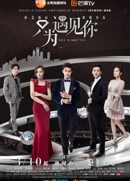 只为遇见你解说版