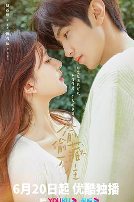 偷偷藏不住解说版